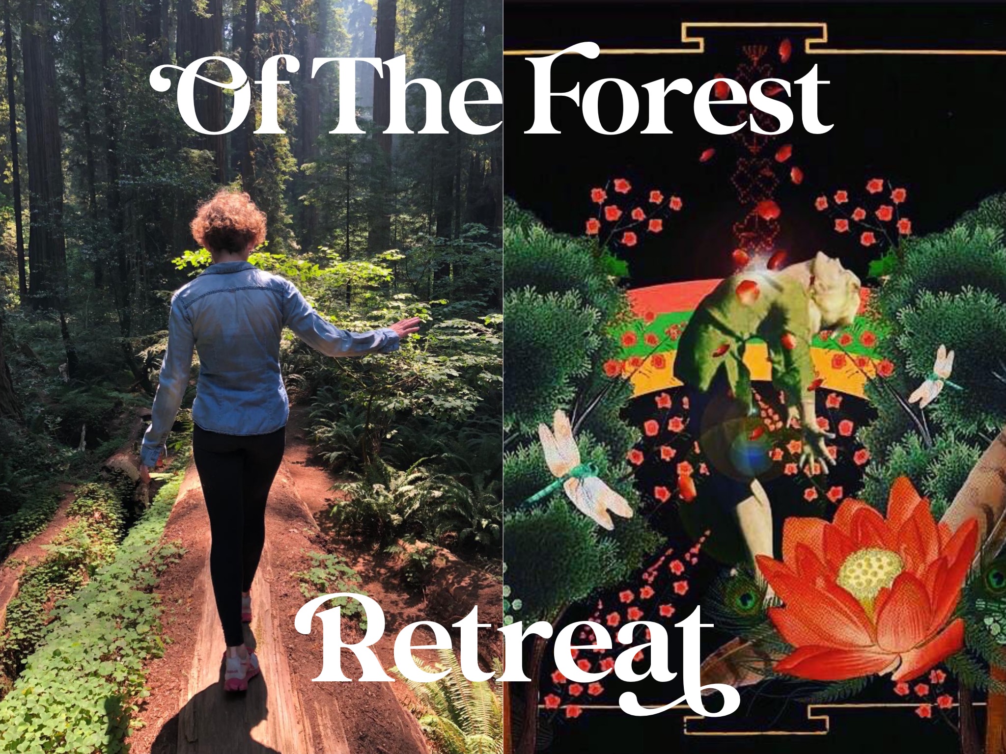 of the forest mardi gras retreat