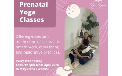 Prenatal Yoga Series · 5 week series · WPB